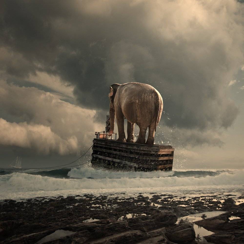 , Caras Ionut