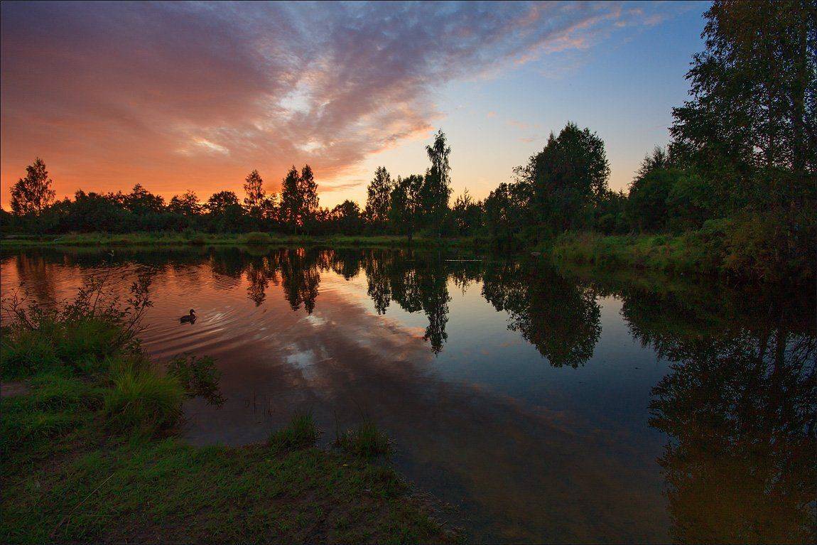 , Аркадий Белов