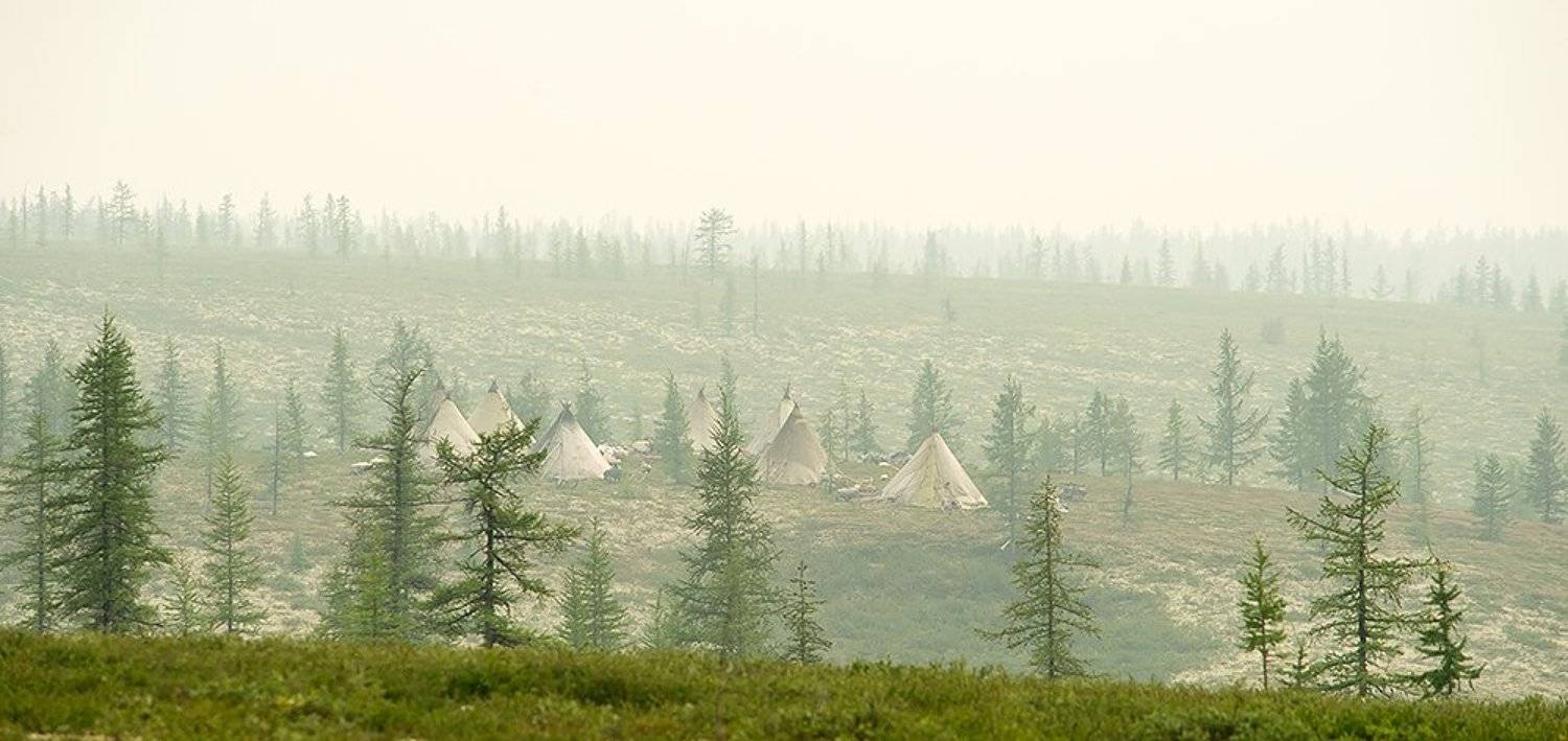 север, путешествия, стойбище, жизнь на краю земли, чумы, Danil Husainov