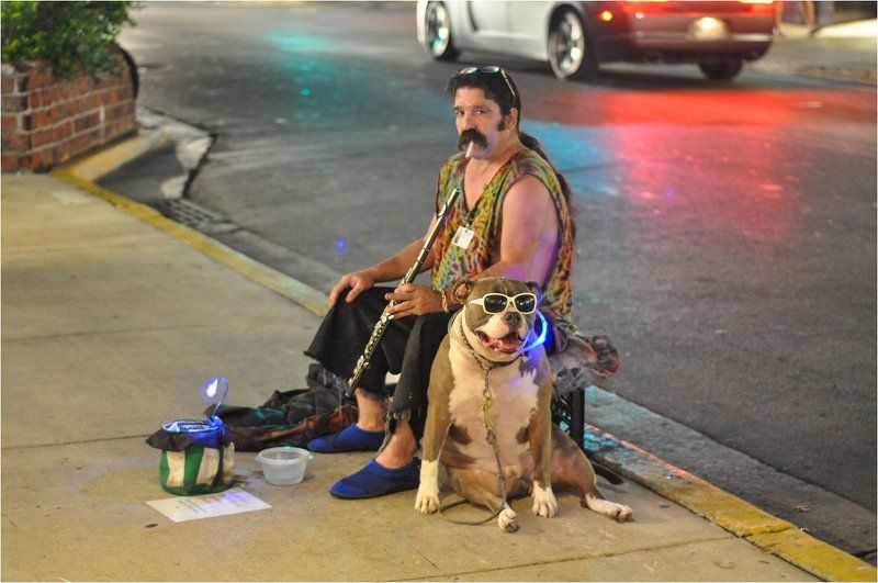 Бременские музыканты фото превью