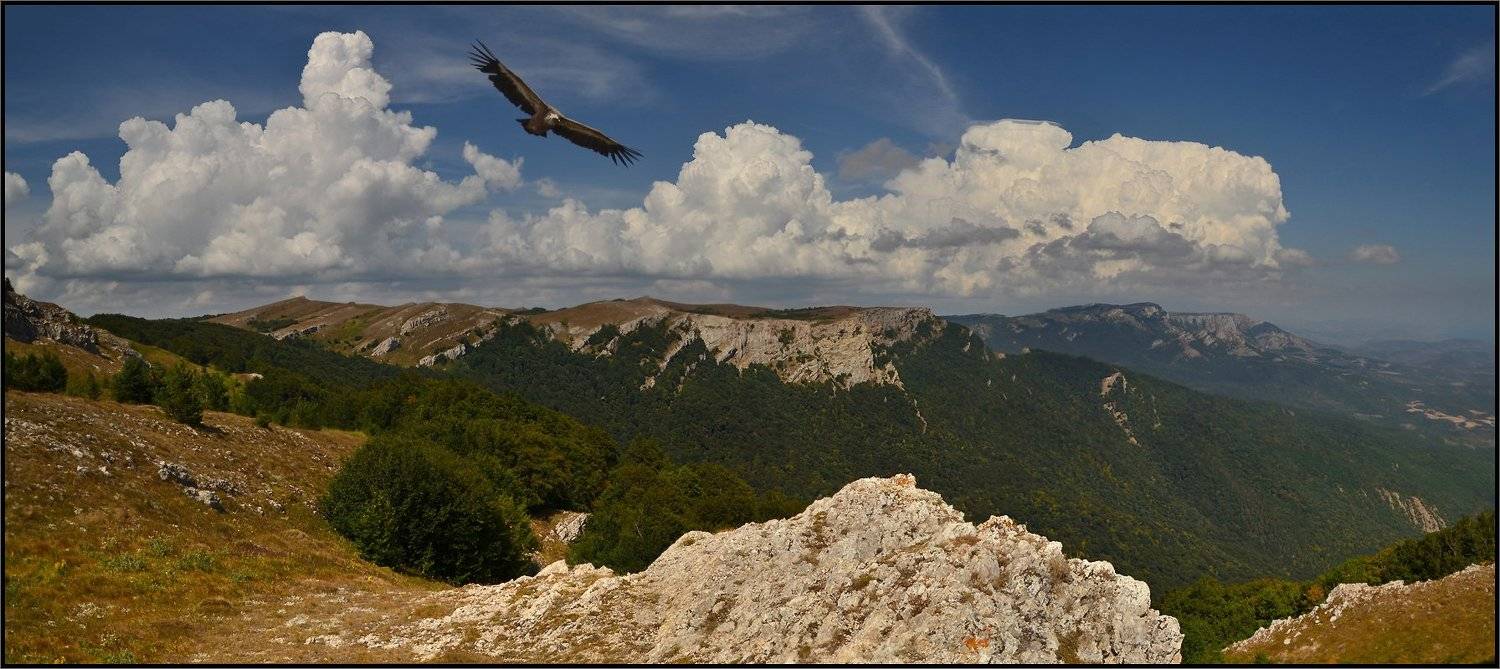 , Владимир Метцгер