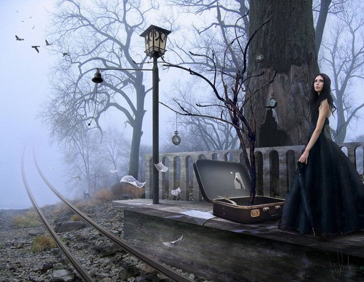 арт,фото, dusha