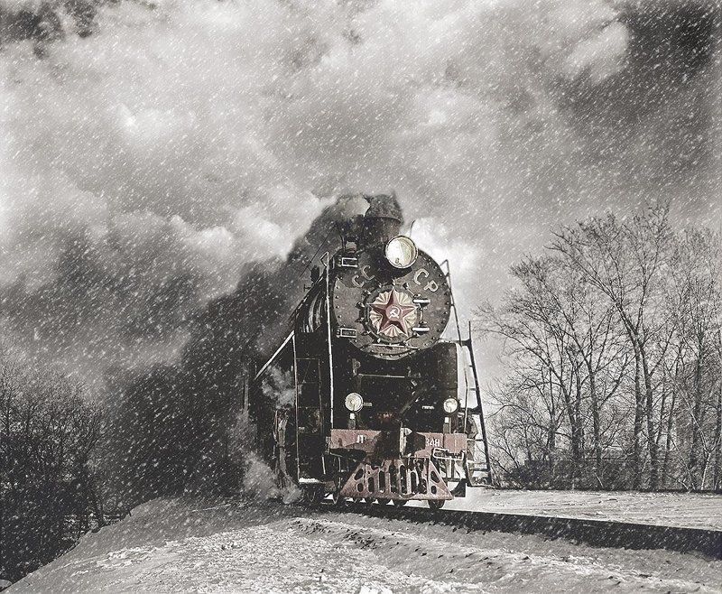 лебедь Перегон фото превью