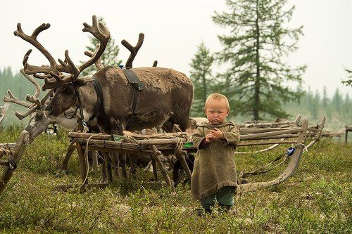 юный оленевод