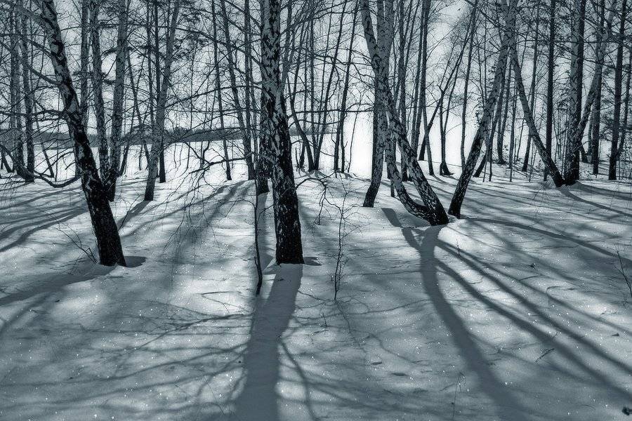 , Николай Морский