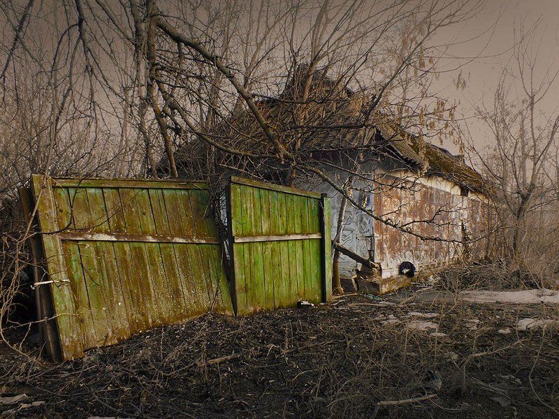 Зелёные ворота фото превью