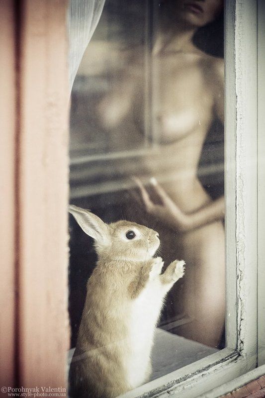 Durasell фото превью