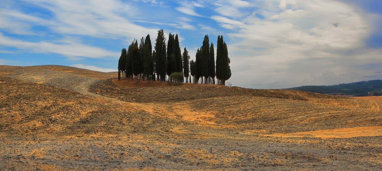 италия, тоскана, Игорь Дубровский