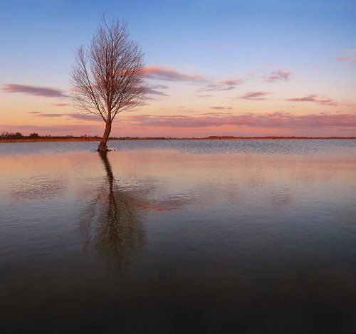 Оставленный для жизни.