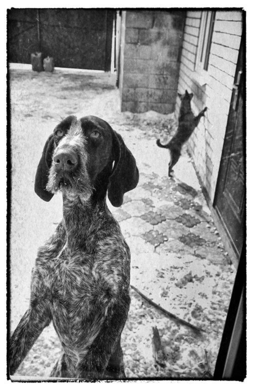 , Бондаренко Александр