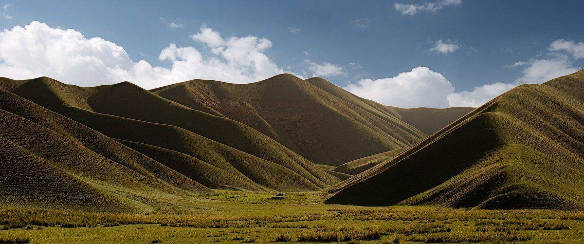 киргизия, Андрей Ведерников