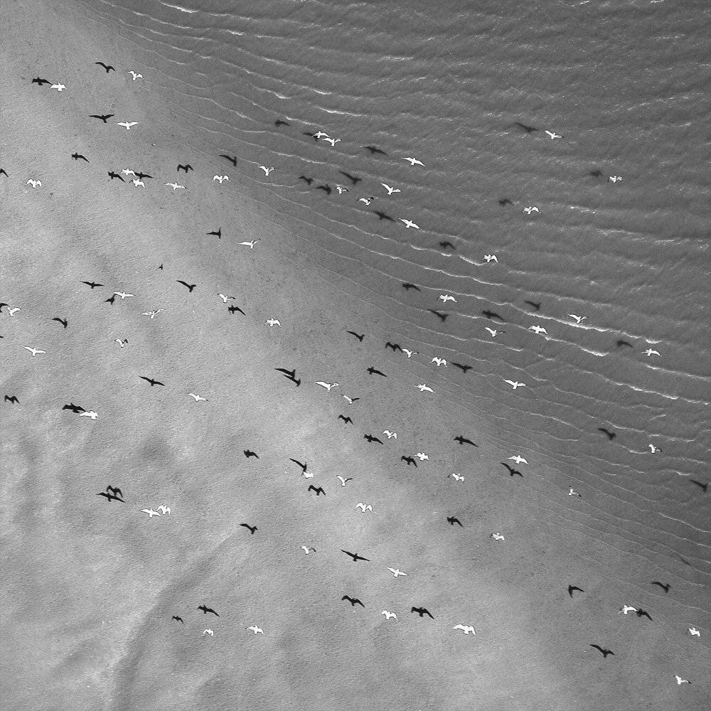 , Сидоренко Алексей