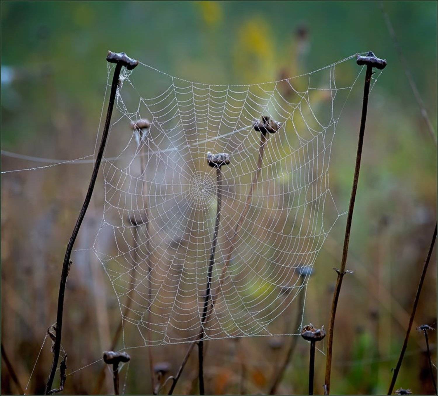 , Евгений Кирилкин.