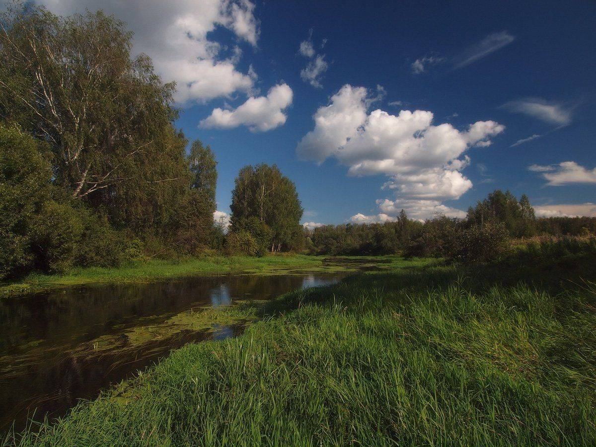 , Владимир Перепечаев