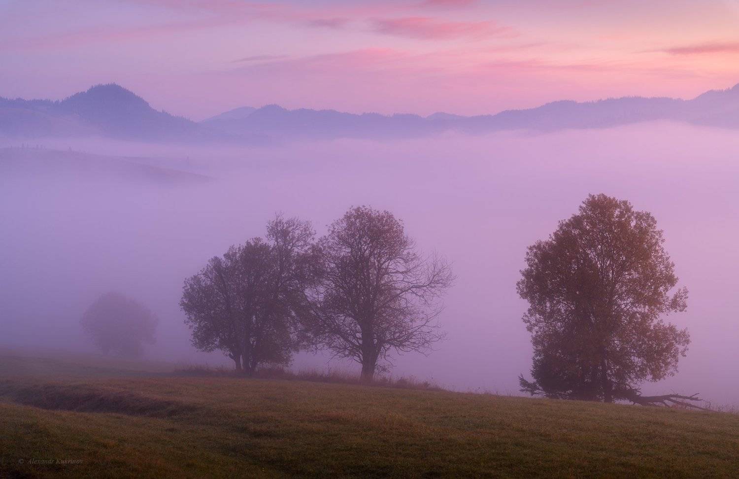 карпаты, осень, пейзаж, утро, рассвет, туман, Александр Кукринов