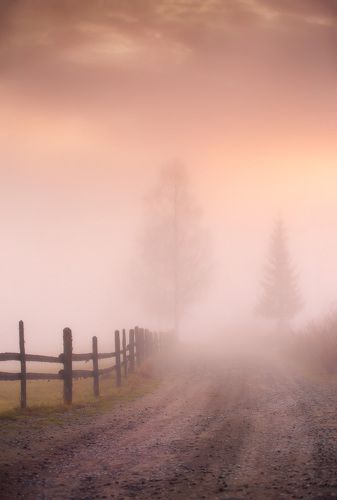 Ноябрьские лаконизмы