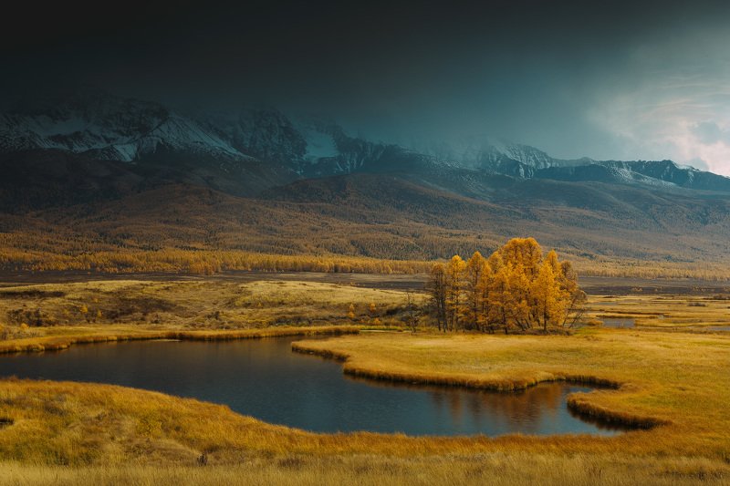 пейзаж, горы, алтай, осень, золотая осень, небо, облака, закат Золото и серебро фото превью