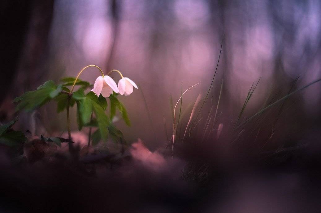 , Вячеслав Мищенко