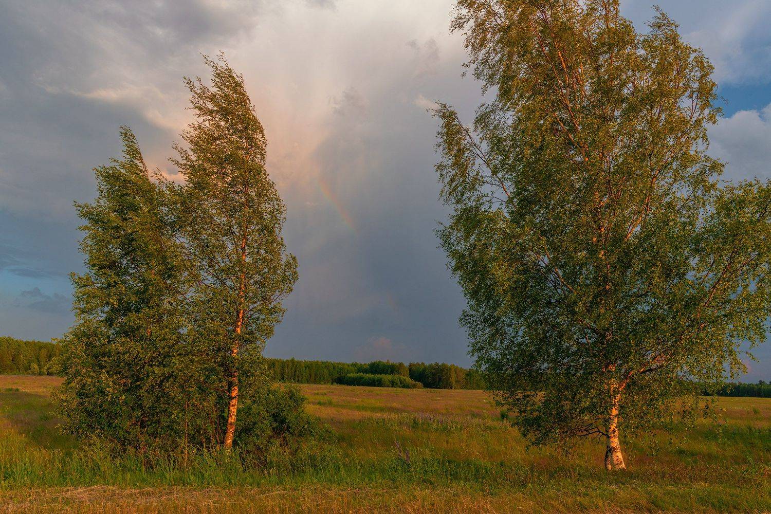 Фототуры с Владимиром Рябковым, лето, июнь, природа, #sunrise #sunset #рассвет #закат  #Russiannature #Russia #Россия #природаРоссии #landscape #пейзаж #landscapephotography #Nikon #Никон, Владимир Рябков