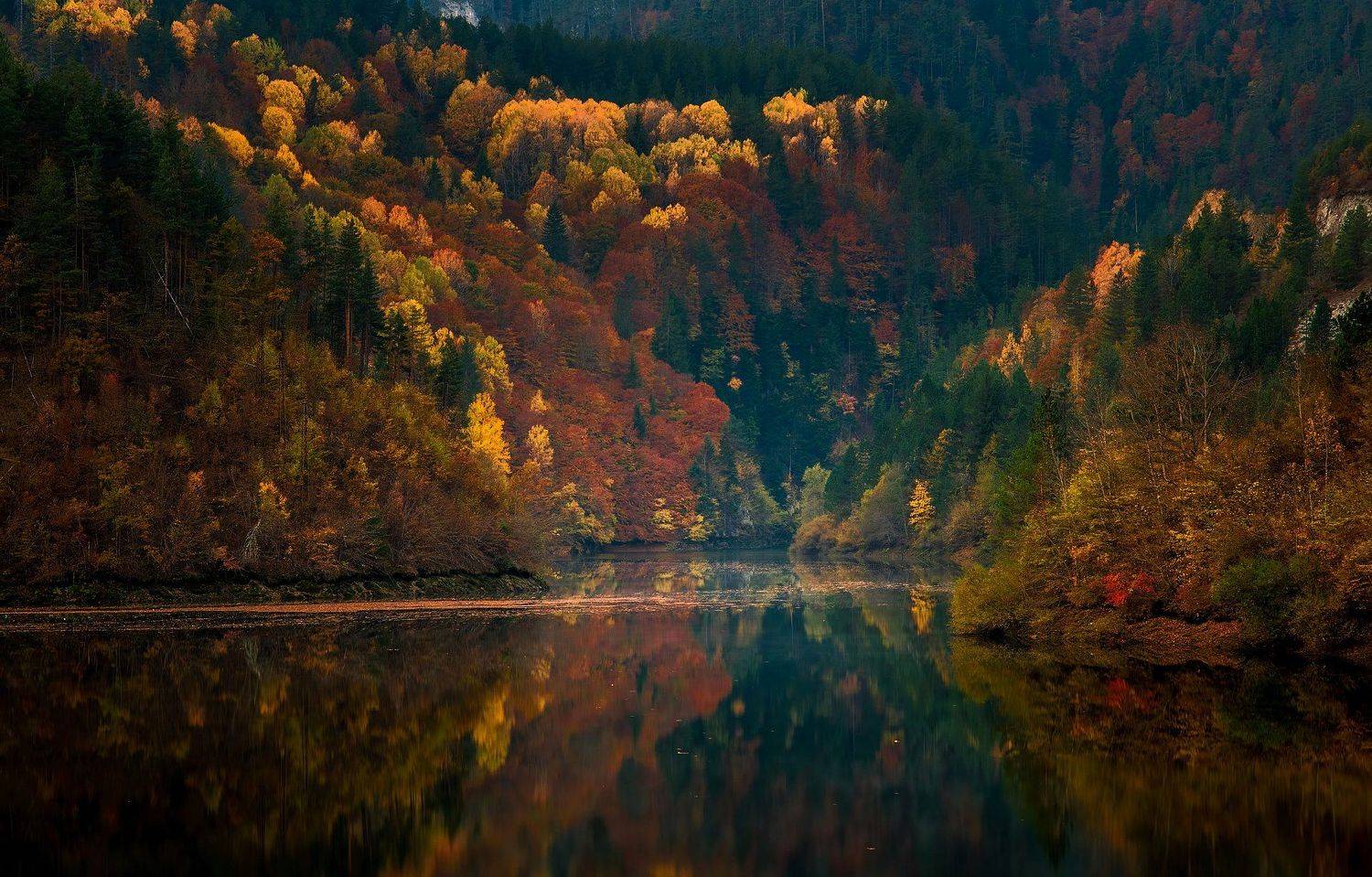 , Николай Кулев