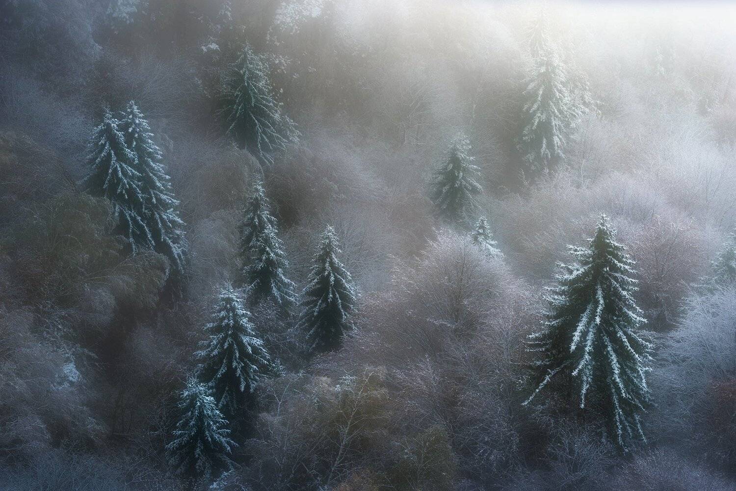 , Szabo Zsolt Andras