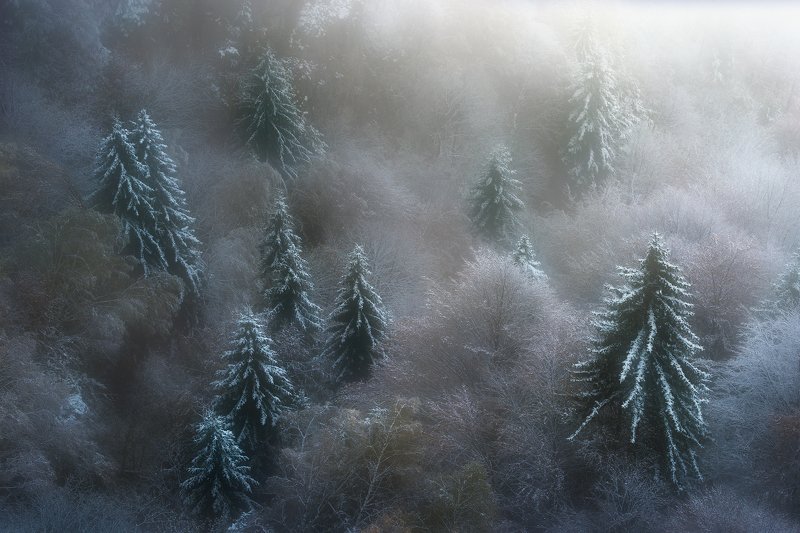 Hidden colour фото превью