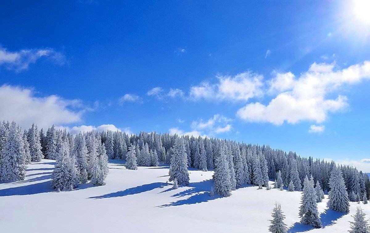 , Razgulyaev Aleksandr