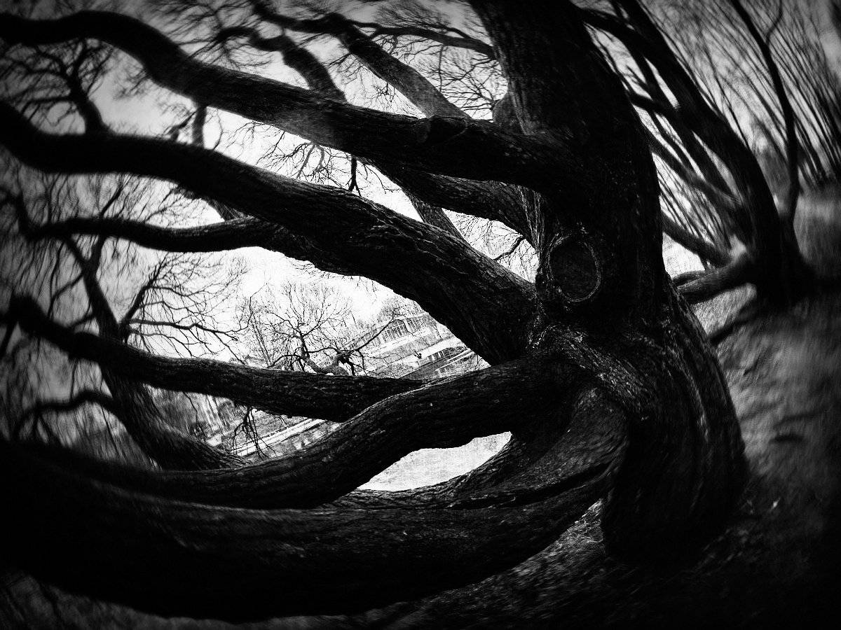 , Штабнов Юрий