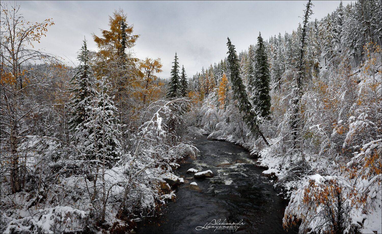 Забайкальский край, Забайкалье, Александр Леснянский