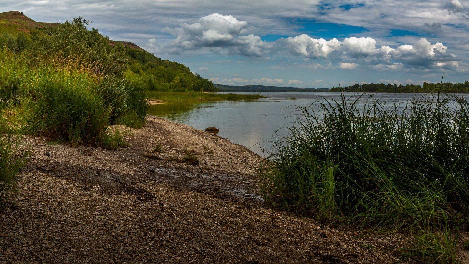 , Марат Кучкаев