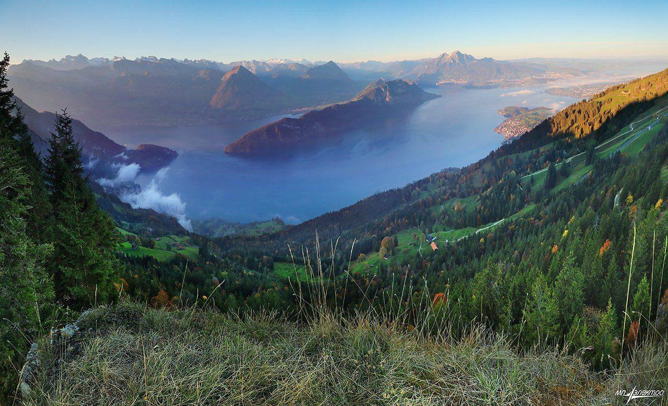 swiss, Матвеев Николай