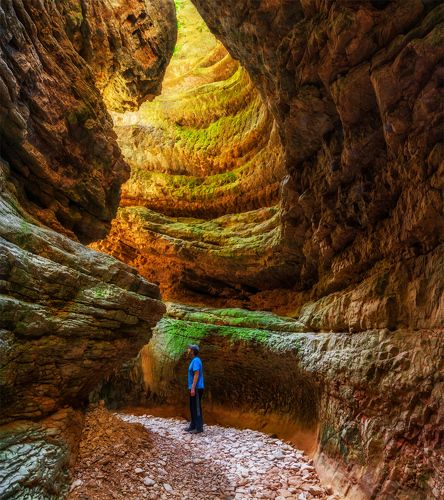 В теснине