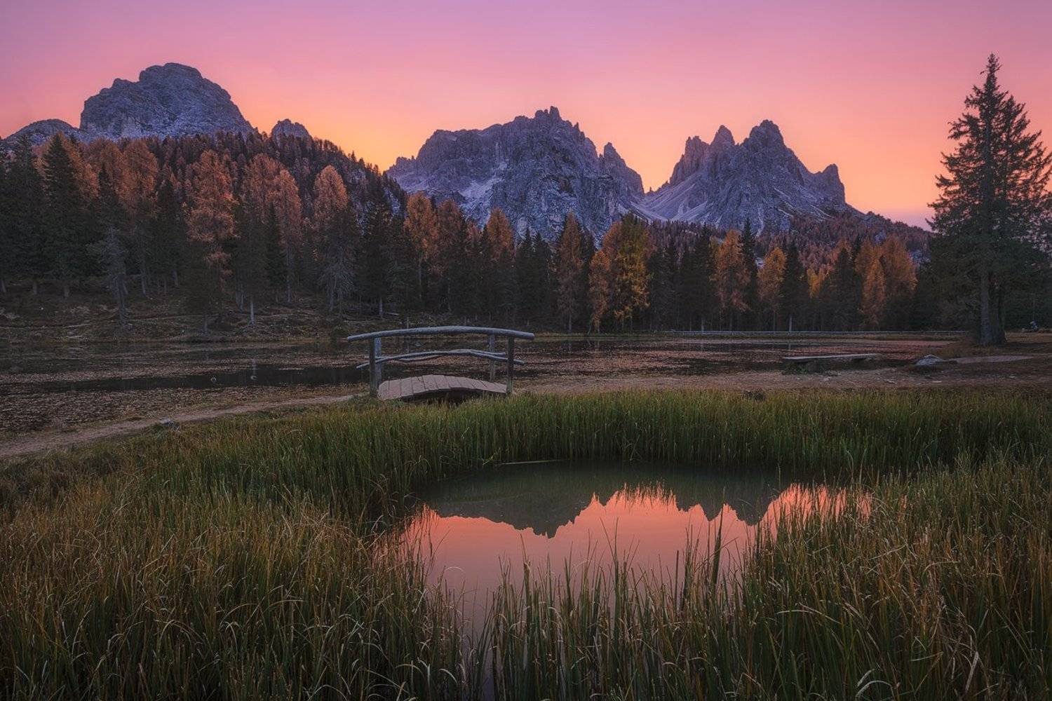 , Kani (kanipolat.com) Polat