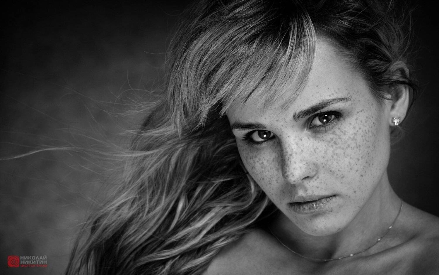 , Никитин Николай