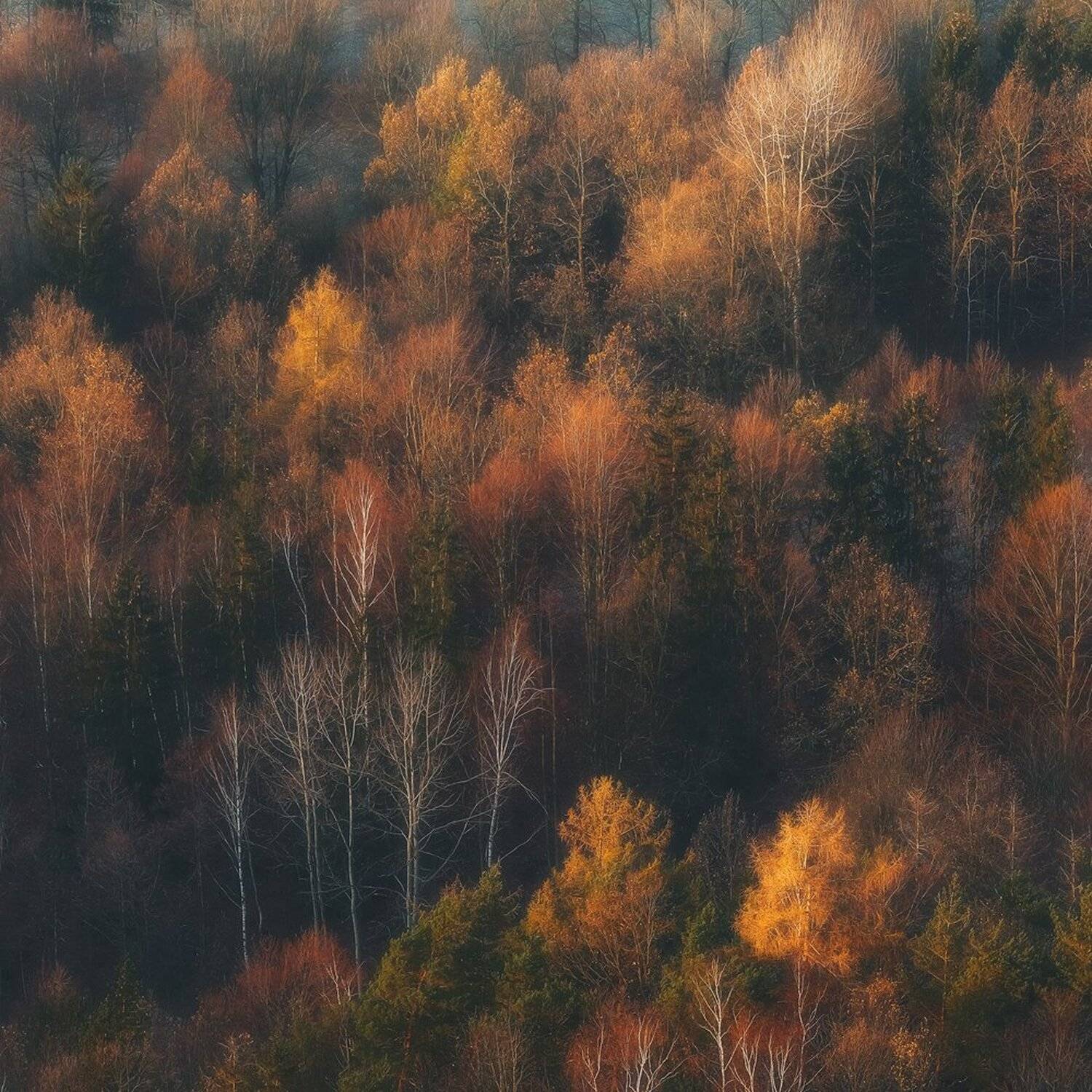 landscape,canon,light,autumn, Iza i Darek Mitręga