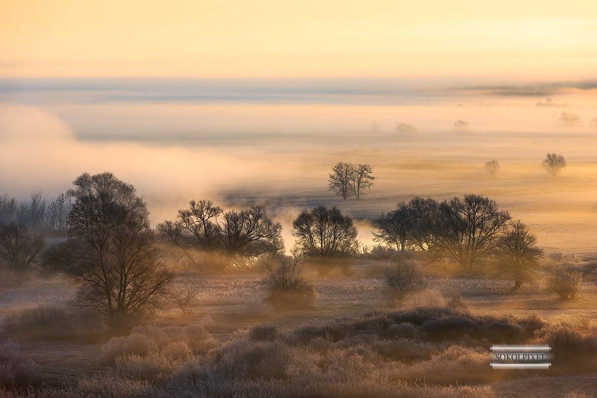 , Андрей Cоколов