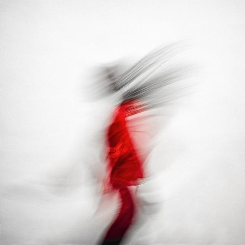 The Disappearance Of Ms. D