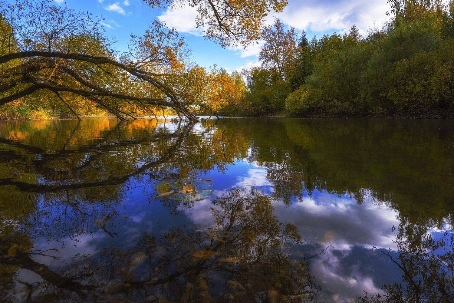 приток, тишина, осень, Владимир Штыриков