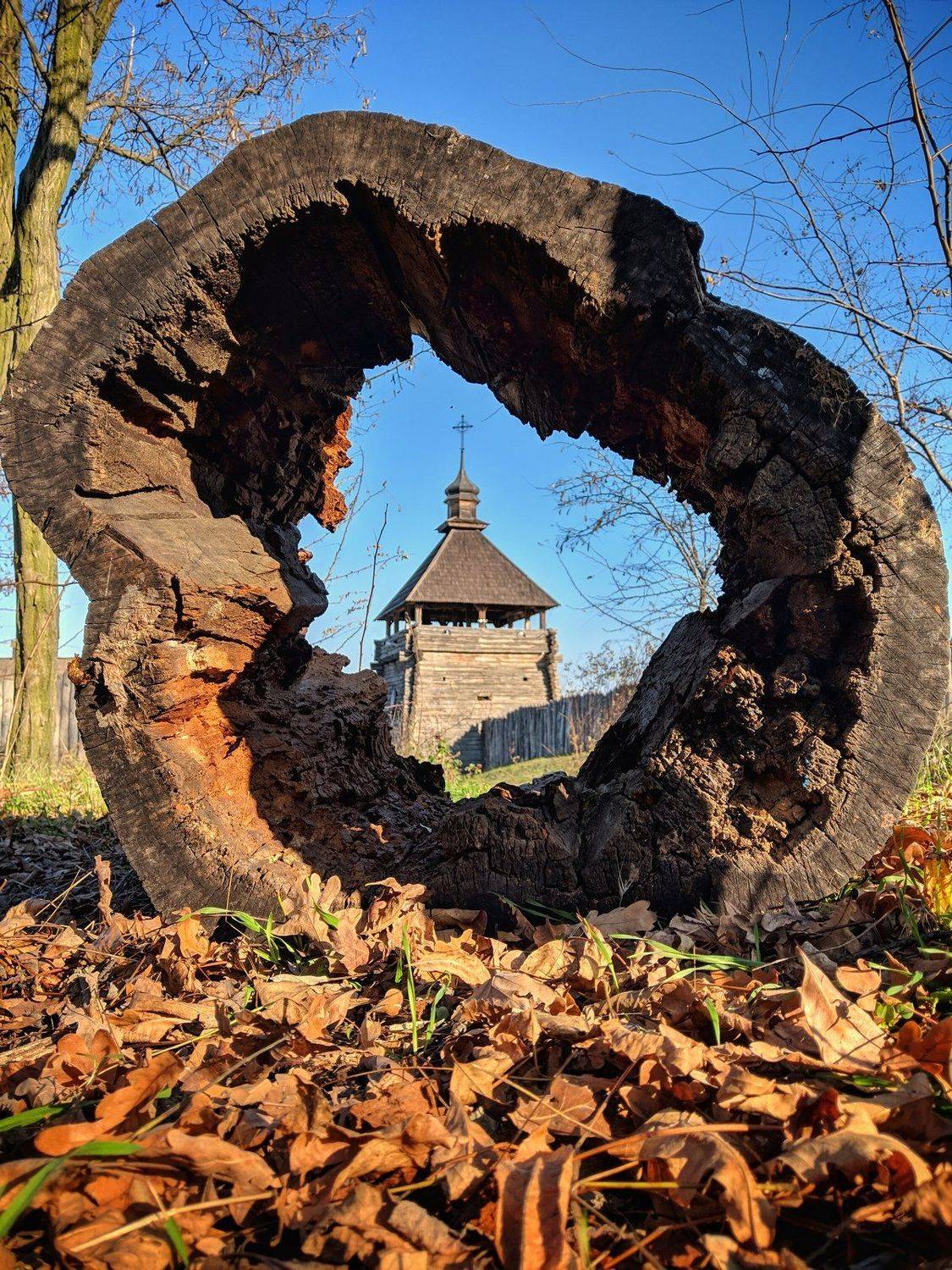 осень,пень,история,небо,листва,пенёк,сеч,хортица,пейзаж,ракурс, Сергей Богачёв