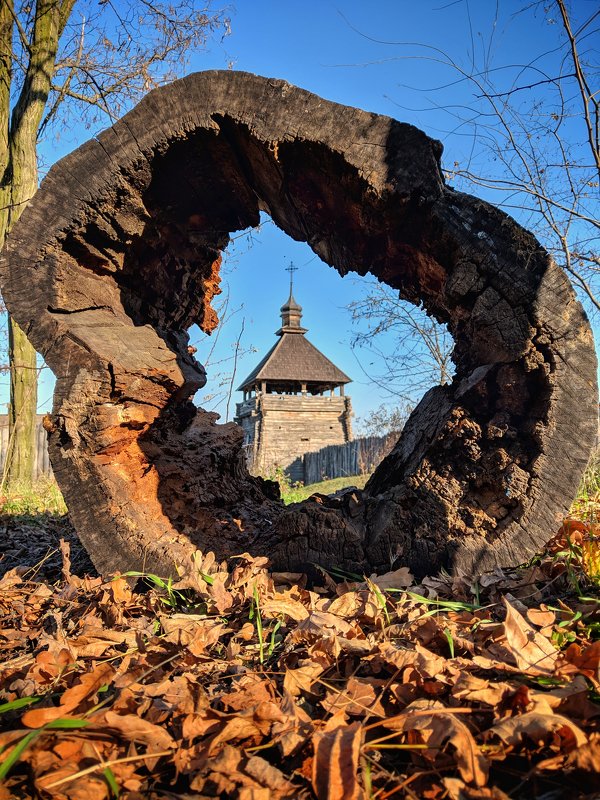 осень,пень,история,небо,листва,пенёк,сеч,хортица,пейзаж,ракурс Сквозь время фото превью