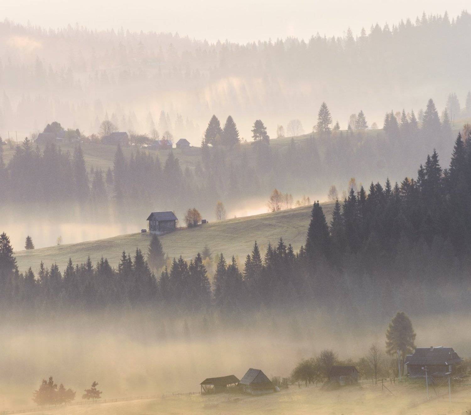 , Крицак Ольга