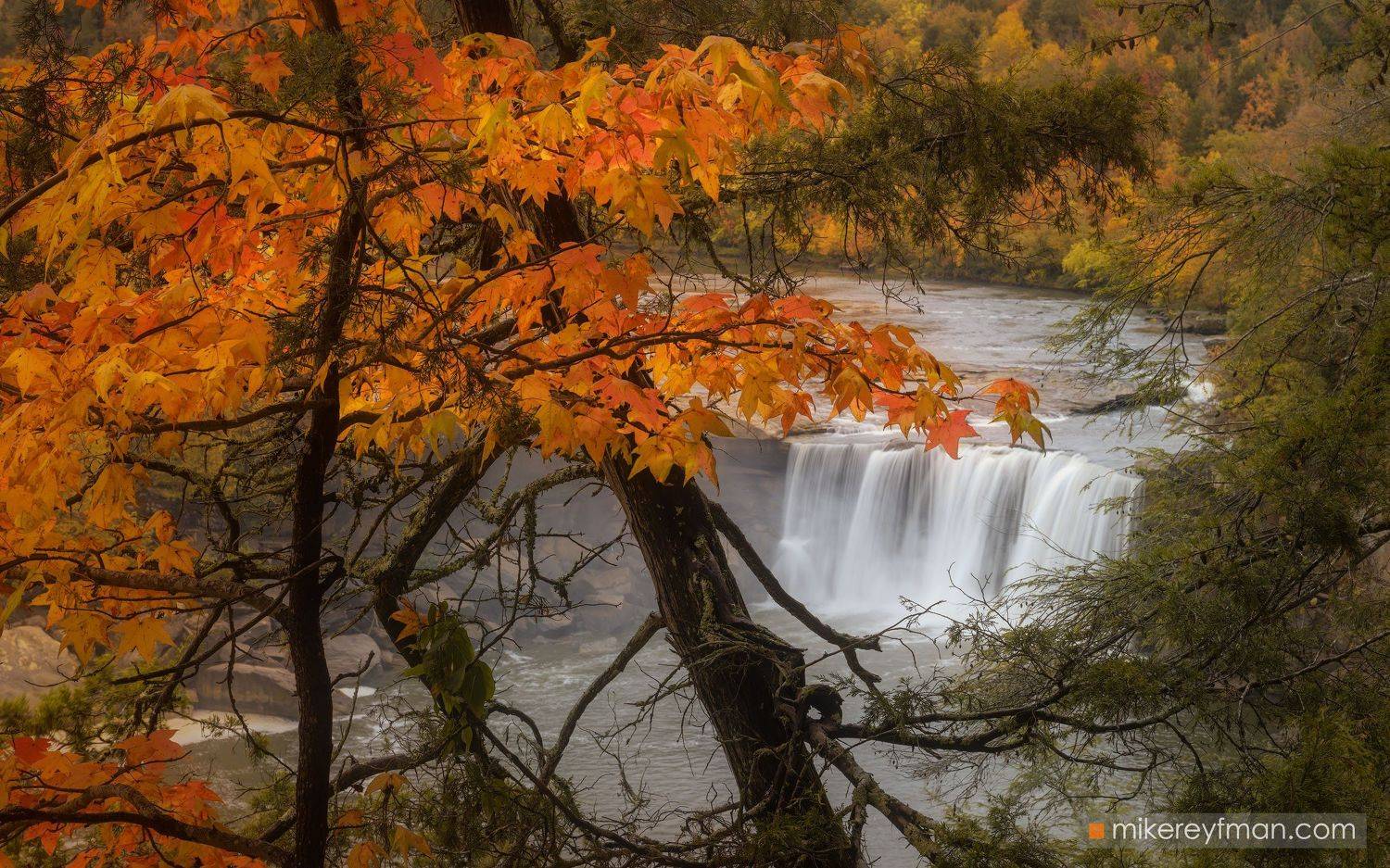 cumberlandfalls, america, american, autumn, daniel_boone, branch, cumberland, foilage, forest, kentucky, landscape, maple, picturesque, river, scenic, trees, united, usa, waterfall, fall, falls, appalachians, Майк Рейфман