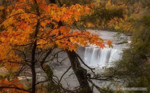 Cumberland Falls