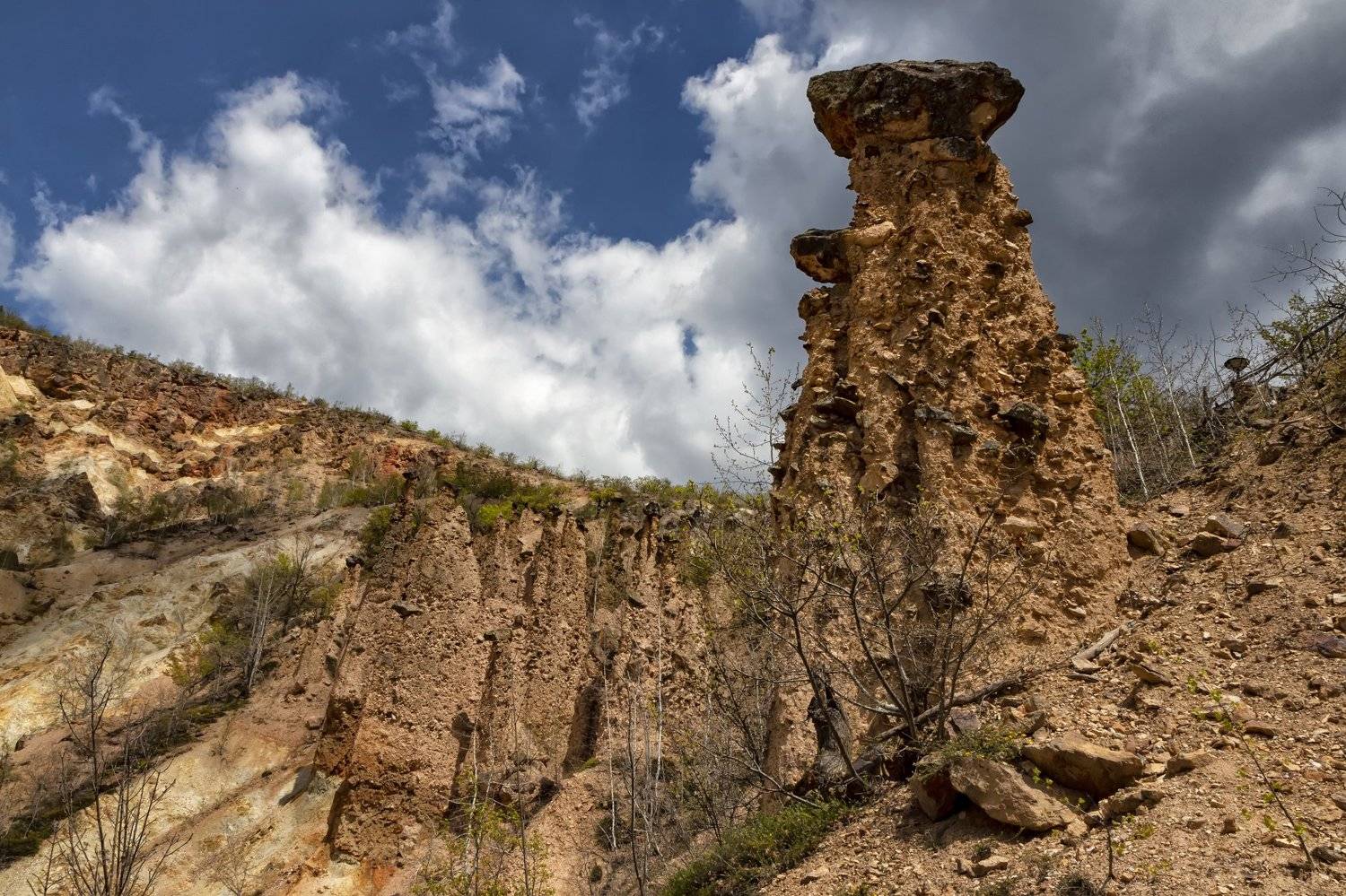 , Бистра Стоименова