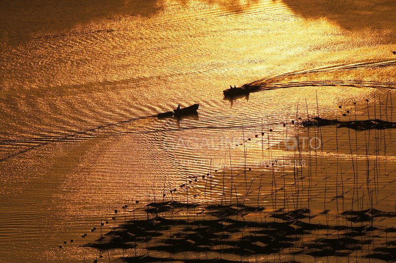 море фото превью