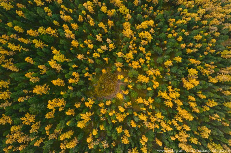 Осень Алтай фото превью