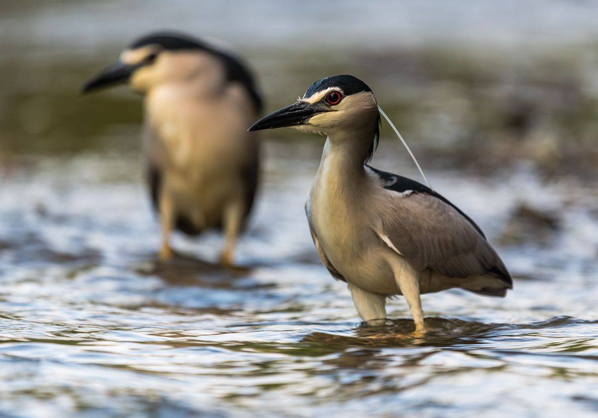 , Sławek Przybylski