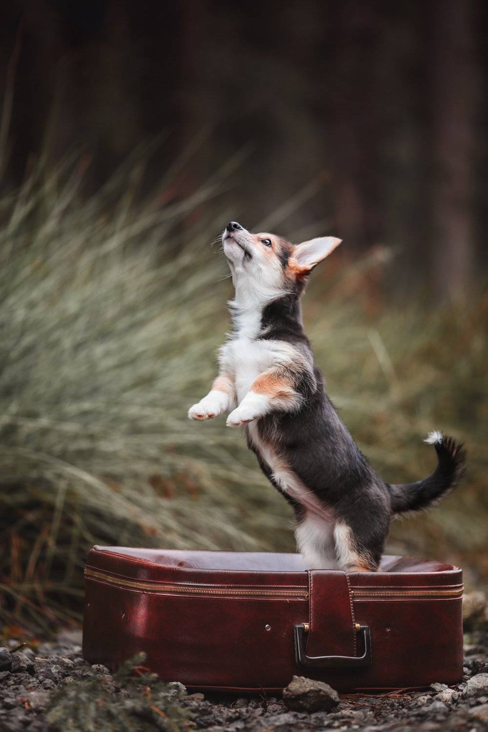 , Наталия Поникарова