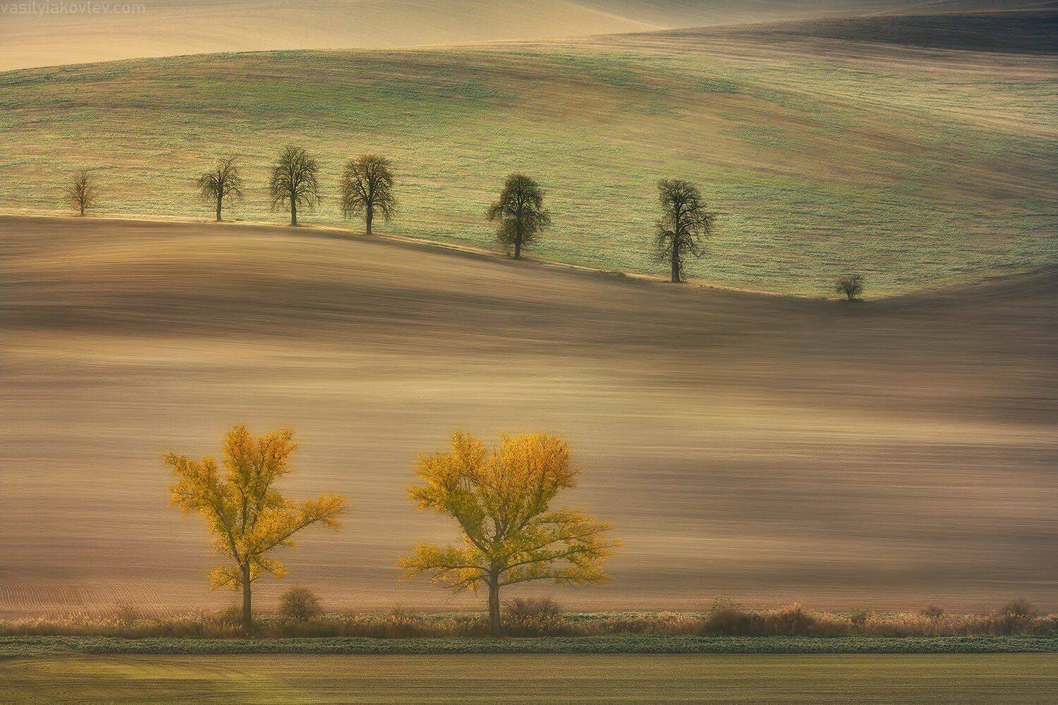 моравия, чехия, осень, Василий Яковлев