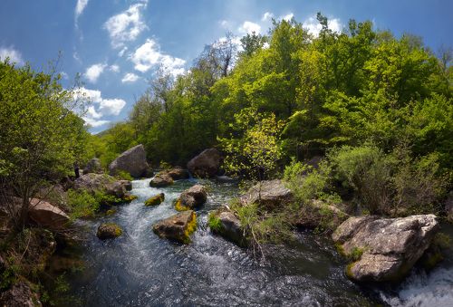 На реке Черной